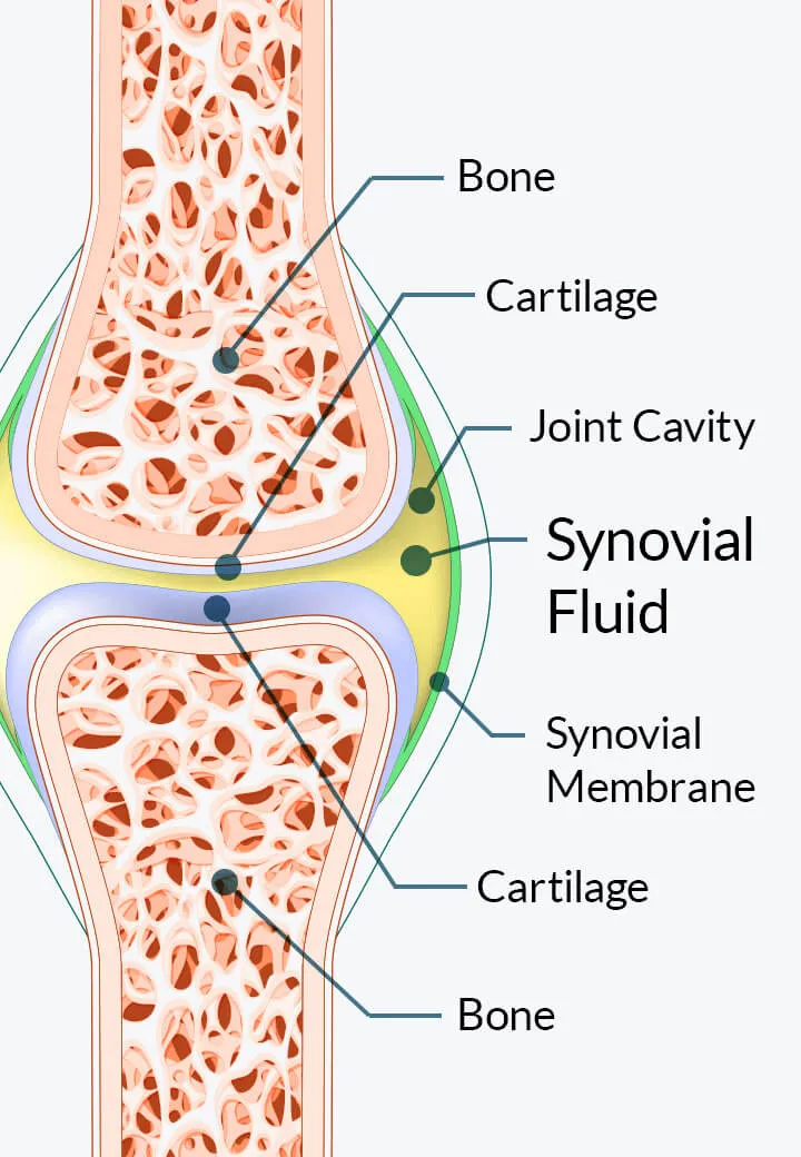 Joint Genesis science-backed ingredients and research